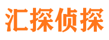 河东区市侦探公司